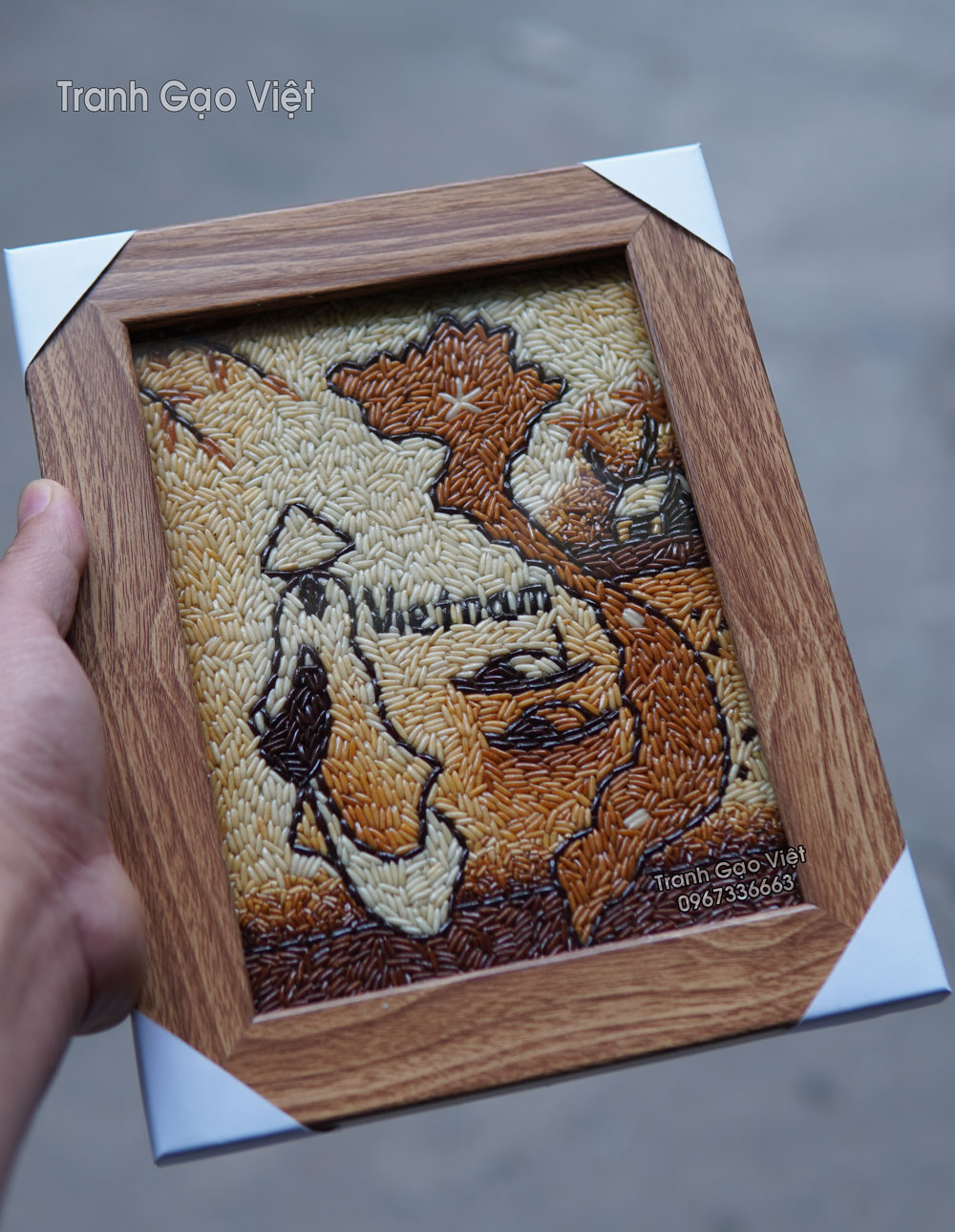 Tranh gạo &aacute;o d&agrave;i bản đồ việt nam