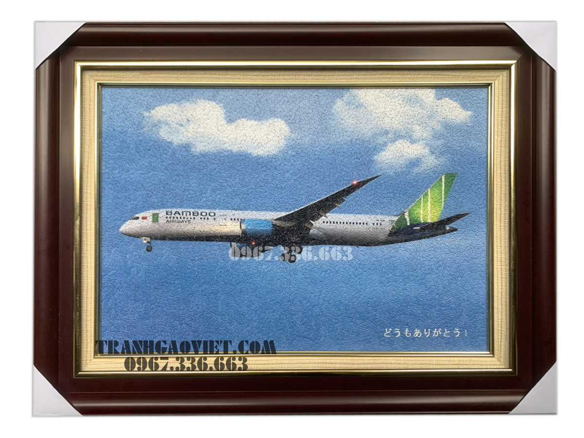 Tranh gạo m&agrave;u M&aacute;y bay Bamboo Airways