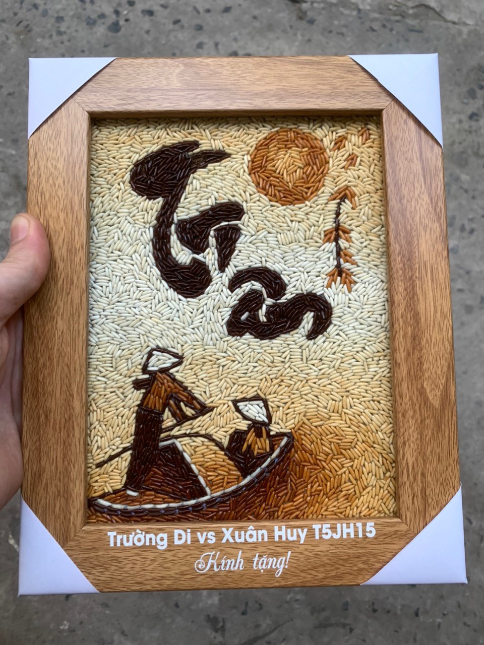 tranh gạo tri &acirc;n