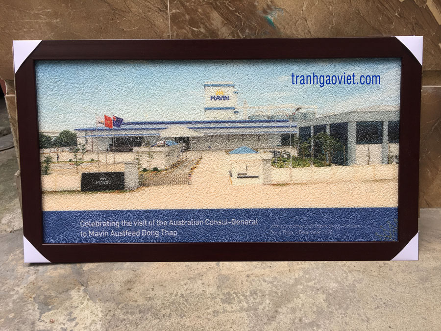 Tranh gạo logo Mavin Đồng Tháp