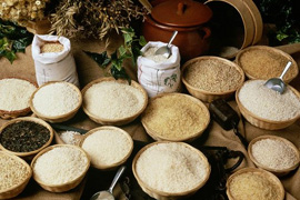 Nghệ thuật phù phép những hạt gạo thành bức tranh gạo