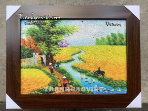 Tranh phong cảnh cánh đồng quê hương