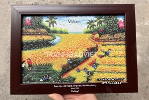 Tranh gạo mùa gặt