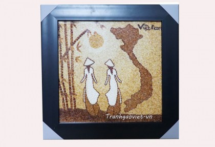 Áo dài và bản đồ Việt Nam