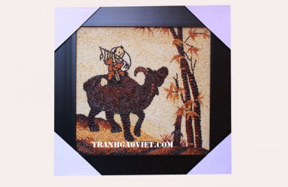 Cậu bé chăn trâu