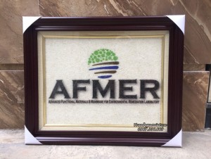 Logo AFMER