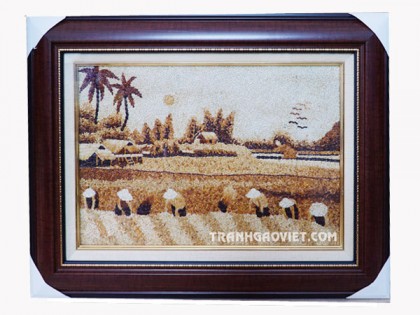 Tranh gạo mùa gặt