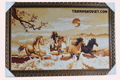 Mã đáo thành công Mẫu khách đặt